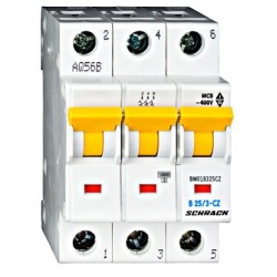 Jistič 25/3/B 10kA...