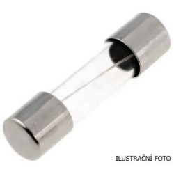 Pojístka příst.F/5x20 10A